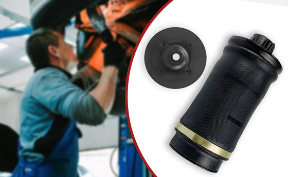 1643200625 Achterluchtspring Autoverhangingssysteem Standardgrootte Voor auto's Mercedes Benz W166 W164 W292