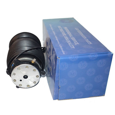 2133200225 2133280200 Achterste luchtophanging Veer W213 E-klasse W253 X290 W257 C257 C238 E-Coupe Met ISO-certificering