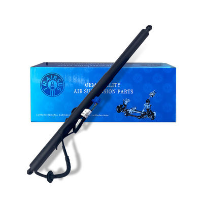 2013-2020 Jaar Power Lift Poort met anti-pinch veiligheidskenmerken en A1568900230 OEM