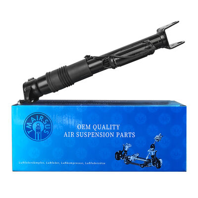 Systemen voor het beheer van luchtophanging met pneumatische schokdempers Ben-Z W251/R300