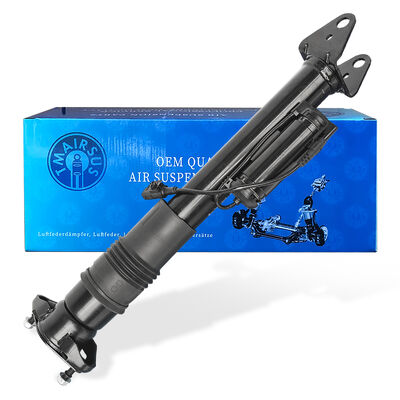 Systemen voor het beheer van luchtophanging met pneumatische schokdempers Ben-Z W251/R300