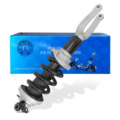 Nieuwe Tech Master Air Suspension Strut Audi R8 Achter Schokdemper 4S0412019/4S0412020