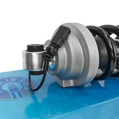 Nieuwe Tech Master Air Suspension Strut Audi R8 Achter Schokdemper 4S0412019/4S0412020