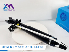 Tech Master LINCOIN MKS MKT Achterkant met elektrische schokdemper ASH-24428