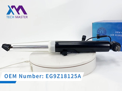 Tech Master Lincoln MKT Achterste schokdemper met ADS DE9Z18125J, DE9Z18125B, DE9Z18125G