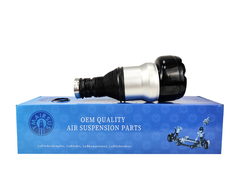 TMAIRSUS Achterluchtveer voor Mercedes-Benz W222 V222 X222 2223200413