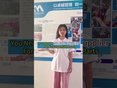 Fabriek voor luchtophanging van Guangzhou, China