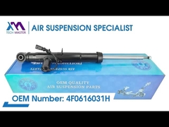 Tech Master TMAIRSUS Achterste linker schokdemper voor Audi A6L/C6 4F0616031H
