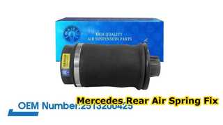 Mercedes-Benz W251/R350 R500 Luchtbalg achter