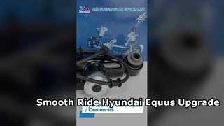 Tech Master TMAIRSUS luchtveringsset met EDC voor Hyundai Equus